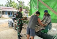 Babinsa Desa Mulia Komsos dengan Petani Jeruk, Bahas Panen dan Kendala Pertanian