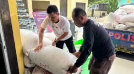 Polsek Mempawah Hulu Beli Jagung Petani Caongk, Dukung Program Ketahanan Pangan Nasional