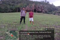 Bintara Ketahanan Pangan Polsek Menyuke Pantau Pertumbuhan Jagung Petani Desa Untang