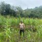 Cek Progres Jagung Mandiri di Meranti, Polisi dan BUMDes Dukung Ketahanan Pangan Desa