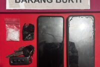 Dua Pria Ditangkap Polisi Melawi, Sabu 4,81 Gram Disita