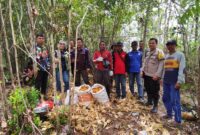 Program 1 Desa 1 Hektar Berbuah Hasil, Jagung Sungai Keli Panen Perdana