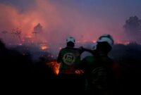 Respons Cepat Karhutla, Dit Samapta Polda Kalbar Turun Langsung ke Rasau Jaya