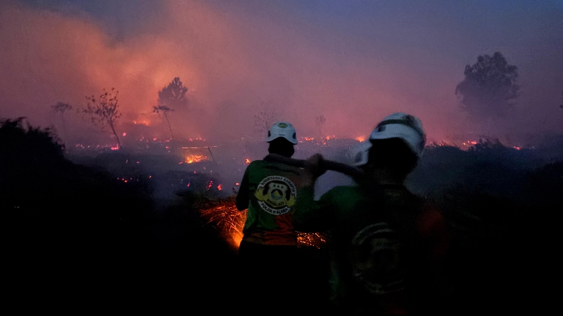 Respons Cepat Karhutla, Dit Samapta Polda Kalbar Turun Langsung ke Rasau Jaya