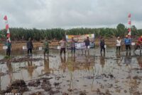 Koramil 06/Selakau Dukung Ketahanan Pangan Lewat Tanam Padi Perdana CSR