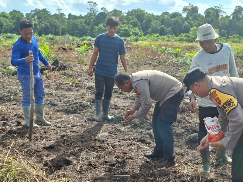Polri Bersinergi dengan Poktan Hilir Utara Makmur Tanam Jagung Hibrida
