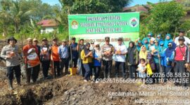 Sinergi Polsek dan Pemerintah Desa Sungai Nanjung Tanam Jagung Hibrida untuk Ketahanan Pangan