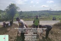 Polisi dan Warga Mandor Tanam Jagung Bersama di Lahan 2 Hektare