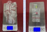 Komitmen Berantas Narkoba, Satresnarkoba Polres Ketapang Amankan Terduga Pelaku di Delta Pawan