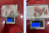 Tim Resnarkoba Polres Ketapang Amankan IRT dan Rekannya dengan Barang Bukti Sabu