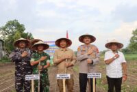 Ketapang Mulai Penanaman Jagung Serentak 2026, Polres dan Forkopimda Turun Langsung