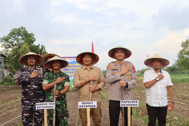 Ketapang Mulai Penanaman Jagung Serentak 2026, Polres dan Forkopimda Turun Langsung