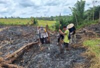 Sinergi Polisi dan Petani, Jagung Hibrida Ditanam di Lahan 1 Hektar Desa Muun