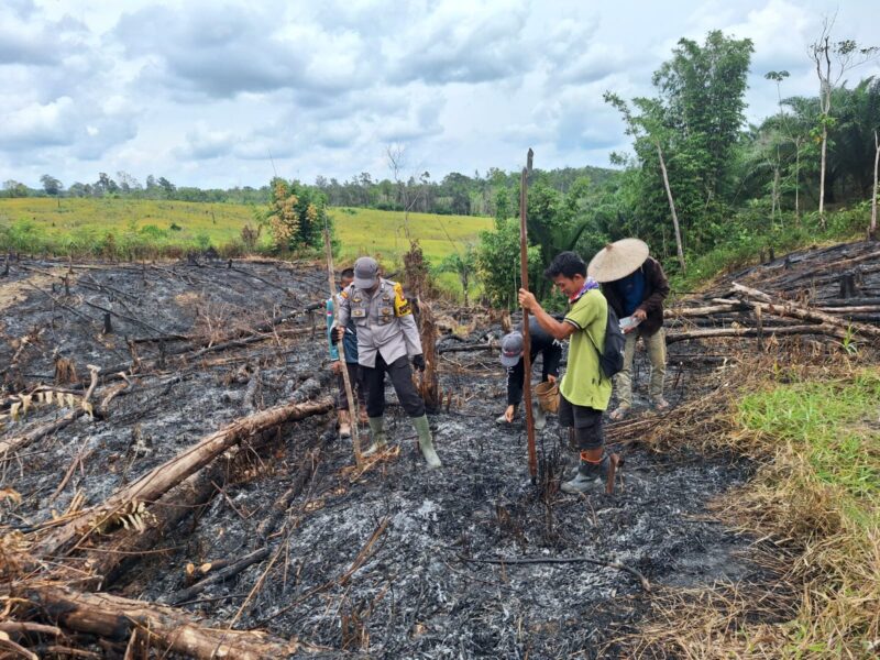 Sinergi Polisi dan Petani, Jagung Hibrida Ditanam di Lahan 1 Hektar Desa Muun