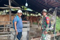 Kopda Fahrul Fajri Koramil 04/Jawai Komsos dengan Peternak Sapi di Sambas