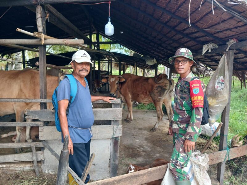 Kopda Fahrul Fajri Koramil 04/Jawai Komsos dengan Peternak Sapi di Sambas