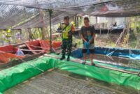 Babinsa Koramil 06/Selakau Kopda Eko Budi Utomo Aktif Dampingi Budidaya Ikan, Dorong Kemandirian Pangan Warga