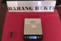 Polisi Amankan 1,18 Gram Sabu, Dua Pelaku Ditangkap di Ngabang
