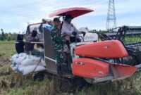 Babinsa Kelurahan Kuala Serda Tomi Dampingi PPL Panen Padi dengan Combine Harvester di Singkawang Barat