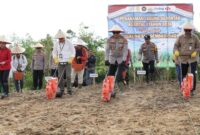 Kapolda Kalbar Irjen Pol Pipit Rismanto Pimpin Penanaman Jagung Serentak di Desa Nyiin