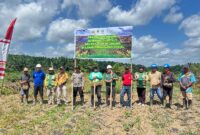 Polsek Marau Bersama Forkopimcam dan PT KGP Laksanakan Penanaman Jagung Hibrida Dukung Ketahanan Pangan Nasional