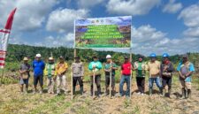 Polsek Marau Bersama Forkopimcam dan PT KGP Laksanakan Penanaman Jagung Hibrida Dukung Ketahanan Pangan Nasional