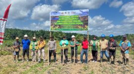 Polsek Marau Bersama Forkopimcam dan PT KGP Laksanakan Penanaman Jagung Hibrida Dukung Ketahanan Pangan Nasional