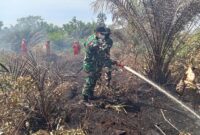 Dandim 1209/Bengkayang Letkol Inf Aprianda Turun Langsung Padamkan Karhutla, Cegah Api Meluas ke Permukiman