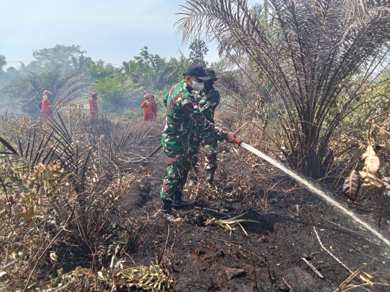 Dandim 1209/Bengkayang Letkol Inf Aprianda Turun Langsung Padamkan Karhutla, Cegah Api Meluas ke Permukiman