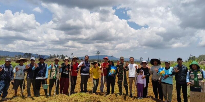Dukung Hanpangan, Babinsa Sungai Bening Dampingi Gapoktan Bemban Tanam Padi