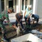 Dekat Dengan Warga, Babinsa Koramil 03/Tebas Bersama Masyarakat Gotong Royong Siapkan Tempat Pengecoran Halaman Musholla