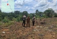 IPTU I Nyoman Astika Cek Tanaman Jagung Hibrida Petani Mandiri di Desa Darit