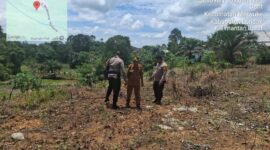 IPTU I Nyoman Astika Cek Tanaman Jagung Hibrida Petani Mandiri di Desa Darit