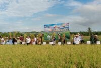 TNI dan Pemerintah Bersinergi Tingkatkan Ketahanan Pangan di Perbatasan Sambas