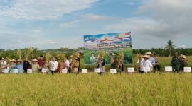 TNI dan Pemerintah Bersinergi Tingkatkan Ketahanan Pangan di Perbatasan Sambas