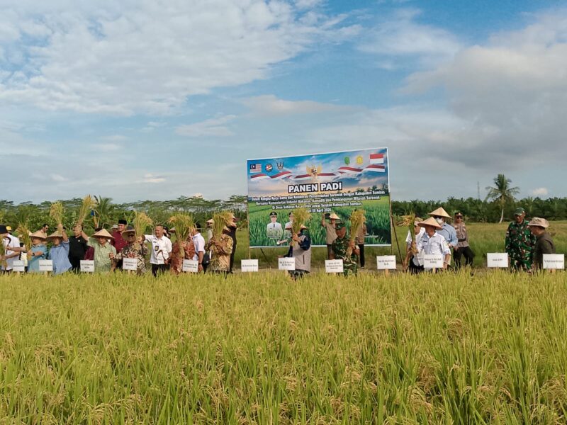TNI dan Pemerintah Bersinergi Tingkatkan Ketahanan Pangan di Perbatasan Sambas