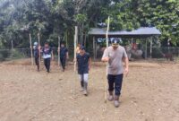 Aipda A.A. Yandra Dampingi Penanaman Jagung Mandiri di Desa Pawis Hilir untuk Ketahanan Pangan