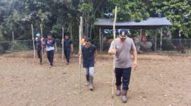 Aipda A.A. Yandra Dampingi Penanaman Jagung Mandiri di Desa Pawis Hilir untuk Ketahanan Pangan