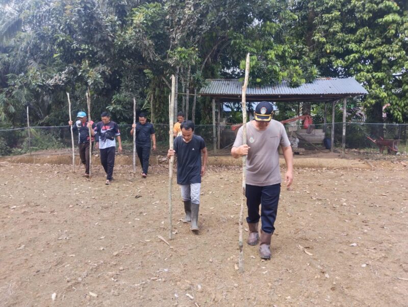 Aipda A.A. Yandra Dampingi Penanaman Jagung Mandiri di Desa Pawis Hilir untuk Ketahanan Pangan