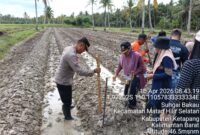 Polri, Pemerintah Desa, dan Mahasiswa Untan Kolaborasi Tanam Jagung Hibrida di Ketapang