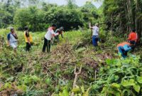 Semangat Gotong Royong, Babinsa Koramil 1206-05/Embaloh Hulu Bersama Poktan Buka Lahan untuk Penanaman Jagung