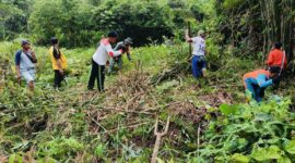 Semangat Gotong Royong, Babinsa Koramil 1206-05/Embaloh Hulu Bersama Poktan Buka Lahan untuk Penanaman Jagung