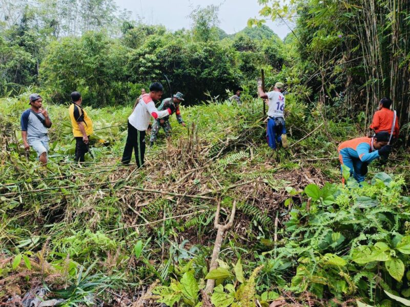 Semangat Gotong Royong, Babinsa Koramil 1206-05/Embaloh Hulu Bersama Poktan Buka Lahan untuk Penanaman Jagung