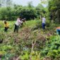 Semangat Gotong Royong, Babinsa Koramil 1206-05/Embaloh Hulu Bersama Poktan Buka Lahan untuk Penanaman Jagung