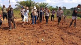 Dukung Ketahanan Pangan, Polsek Simpang Dua Laksanakan Penanaman Jagung Hibrida Bersama PT. MKS