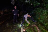 Respons Cepat Polisi, Pohon Tumbang di Jalur Sintang–Nanga Pinoh Berhasil Dievakuasi