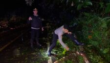 Respons Cepat Polisi, Pohon Tumbang di Jalur Sintang–Nanga Pinoh Berhasil Dievakuasi