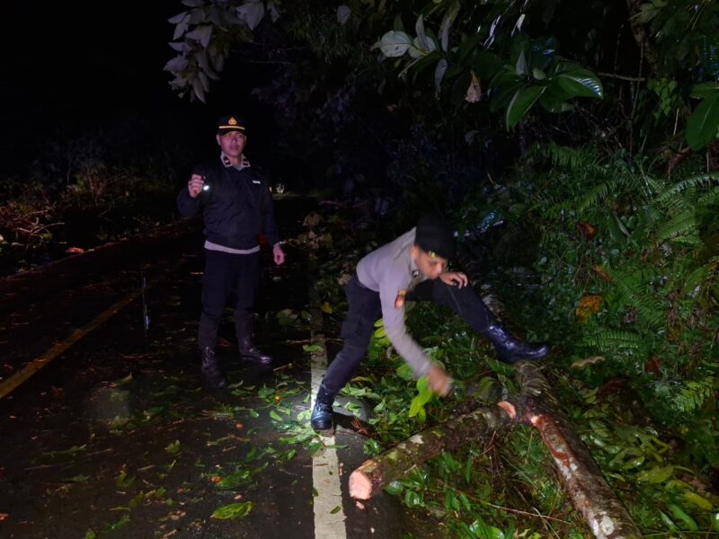 Respons Cepat Polisi, Pohon Tumbang di Jalur Sintang–Nanga Pinoh Berhasil Dievakuasi