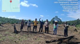 Kapolsek Menyuke Beserta Anggota Bhabinkamtibmas Polsek Menyuke Rutin Lakukan Pengecekan Tanaman Jagung