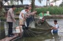 Kapolres Melawi Panen Ikan Bersama Kapolsek Nanga Pinoh